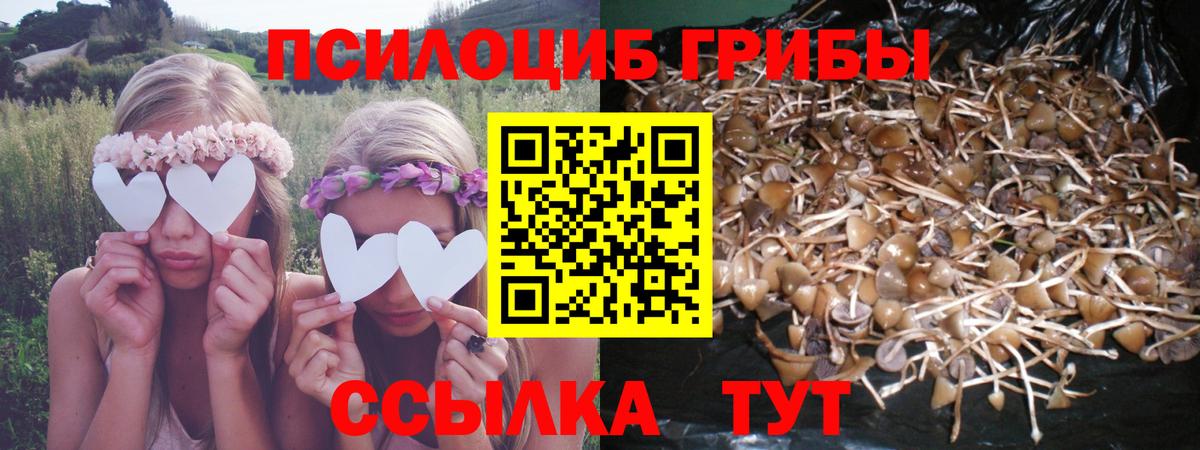 Псилоцибиновые грибы MAGIC MUSHROOMS Алексеевка